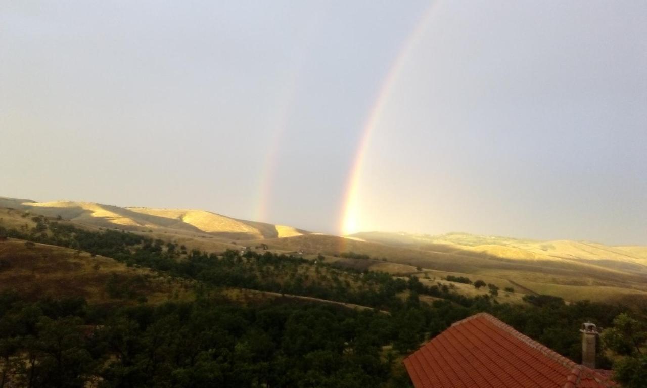 Vila Bliznakinja B Zlatibor Exterior foto